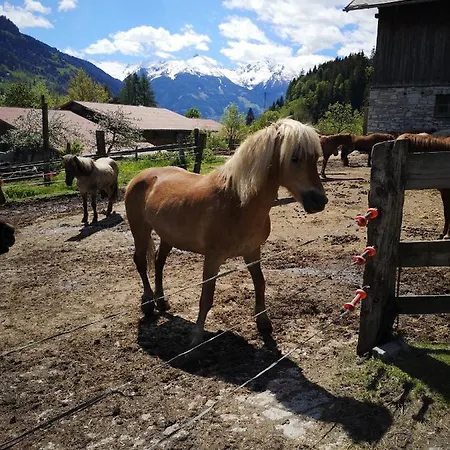 Haus Grugger דירה *