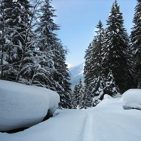 Apartment Haus Grugger *