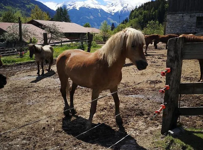 Haus Grugger Apartamento *