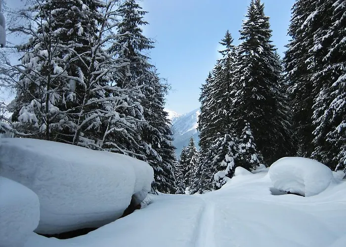 Апартаменты Haus Grugger *